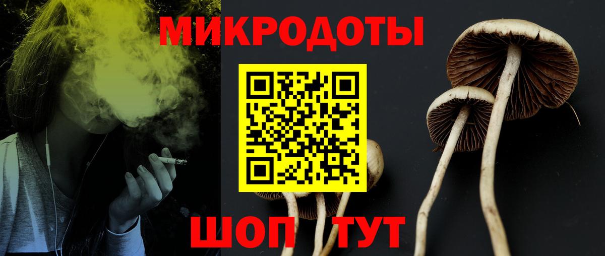 Псилоцибиновые грибы ЛСД Новокубанск