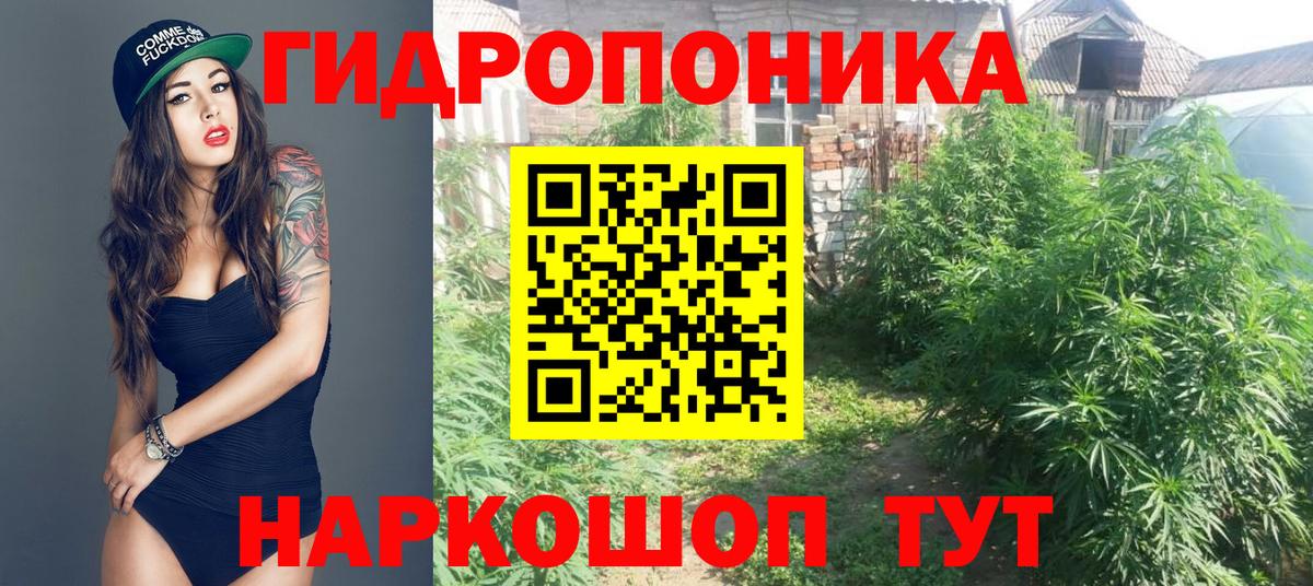 Канабис индика Новокубанск
